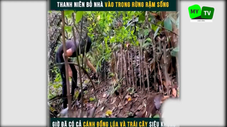 Cuộc sống hoang dã trong rừng phần cuối