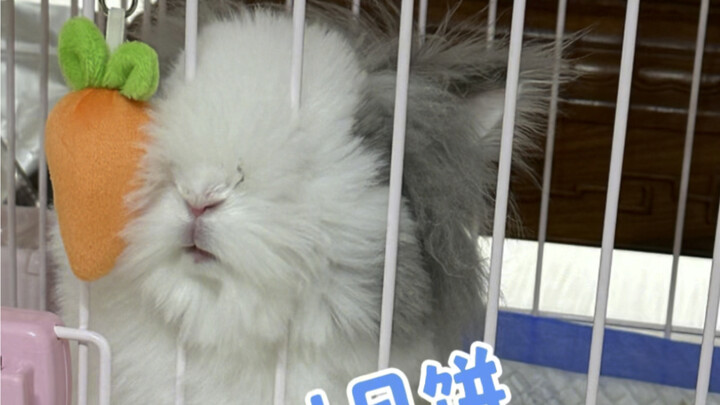 真好，以后买一件衣服三个人可以一起穿！