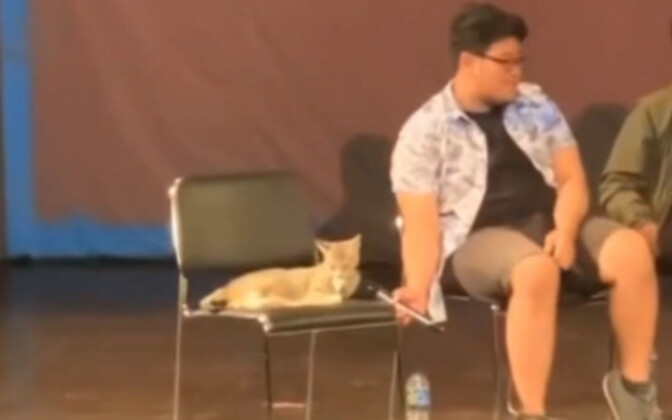 بس أقول شوية بكلمات بسيطة، يو.