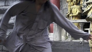 Pure Bajiquan