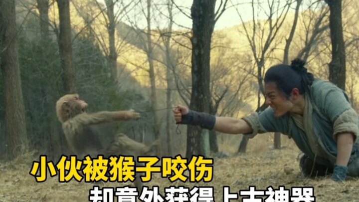 A young man was bitten by a monkey but unexpectedly activated an ancient artifact, propelling him to