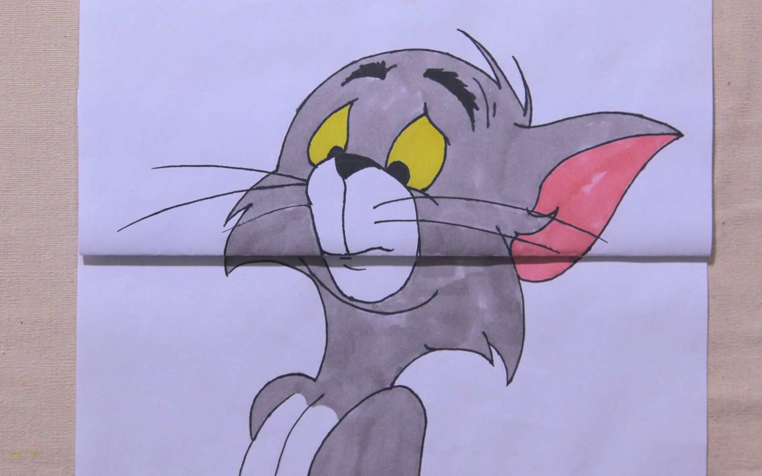 47 Tranh tô màu Tom and Jerry ngộ nghĩnh cho bé tập tô