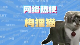[Internet Memes Representative] What's the meme about Mei Li Cat?