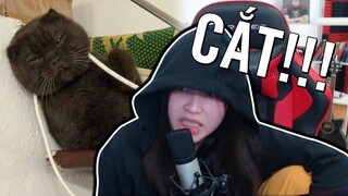 BÀ CHỦ KÊNH TALKSHOW | F*KCAT KHÉT TIẾNG NGUYỄN ĐẮC TRÙNG BỊ HÀ BESO XỬ LÝ PHẠT NÓNG!