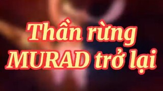 điều chỉnh lại murad P1