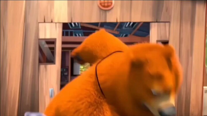 bear