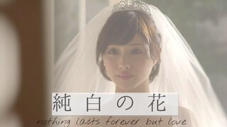 【33位日本女星婚纱混剪】純白の花