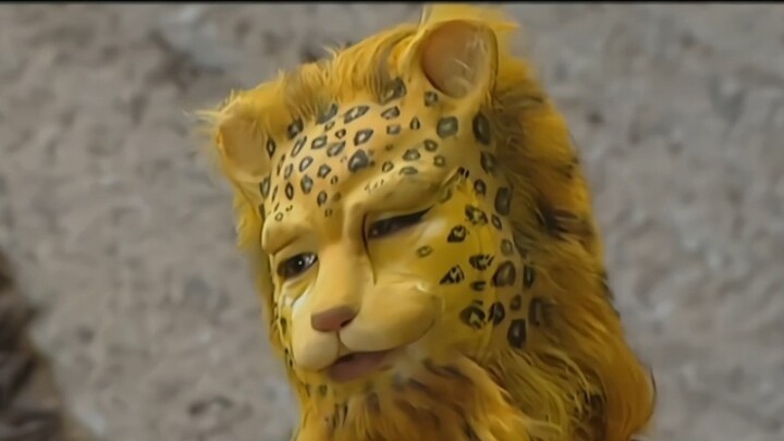 Comparison of the golden leopard, the previous one looked rich, but now it looks poor