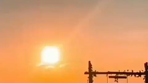 kucing yang sangat baik kepada tuan ya 🤭😂🗿🗿