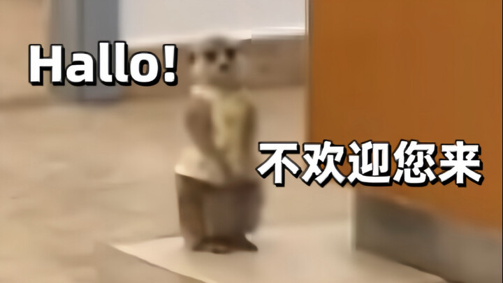 只 要 是 德 语 就 画 风 突 变