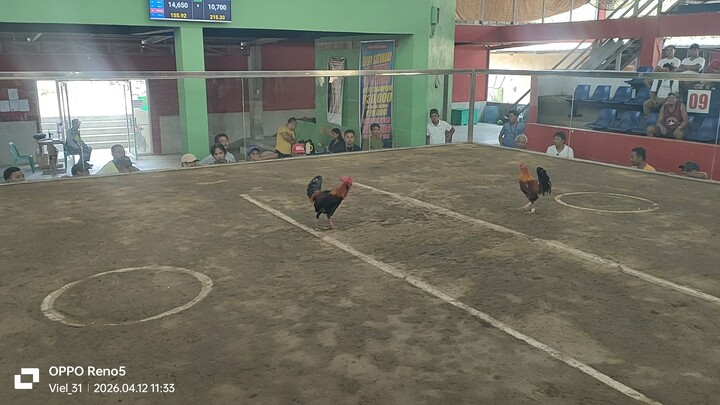 JUBlackmuff