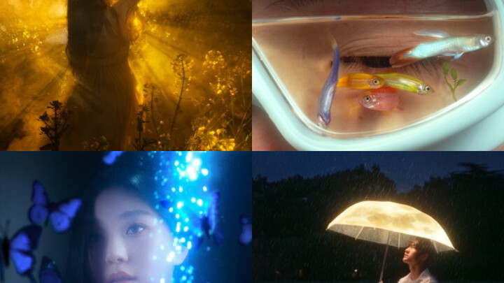 مجموعة مجمّعة من الصور الإبداعية "الفن ينبع من الحياة"