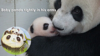 A pair of lovely panda mother and son