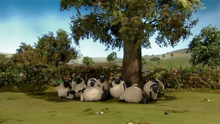 Những Chú Cừu Thông Minh 1 #34