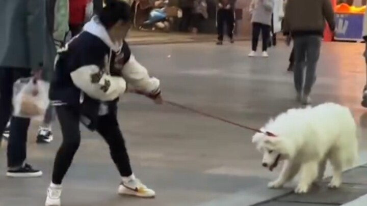 Awkward moments for dog owners