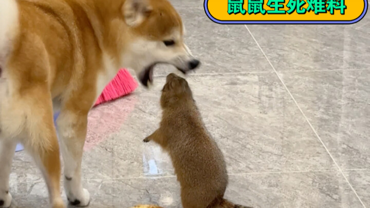 Oh my gosh, I almost didn’t make it!