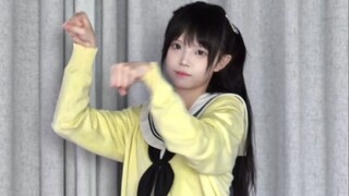 豪猫