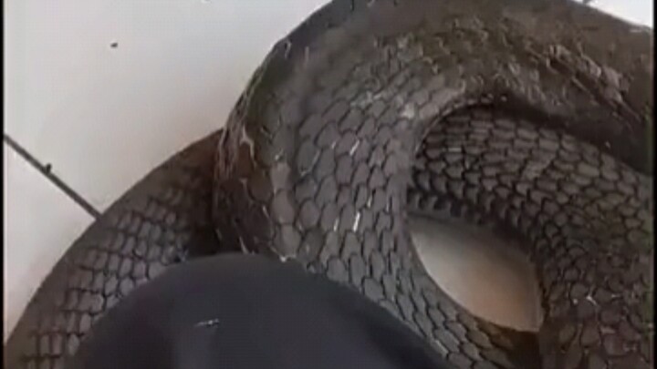 Ở đây có tàu điện ngầm hả?