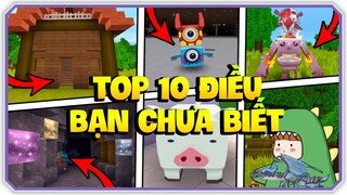 Mini World: Top 10 điều thú vị có thể bạn không biết trong mini world