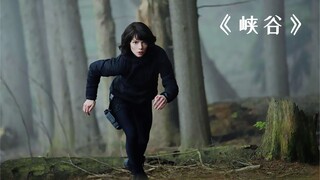一个神秘峡谷的背后，竟隐藏着不可告人的秘密！《峡谷》