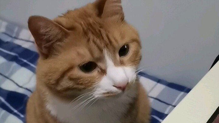 I’ve told you already—being polite just doesn’t matter…