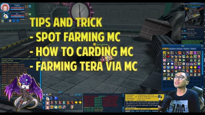 TIPS AND TRICK (GUIDE) NEWBIE (PEMULA) FARMING TERA PART 1 : CARDING MC - Digimon Master Online