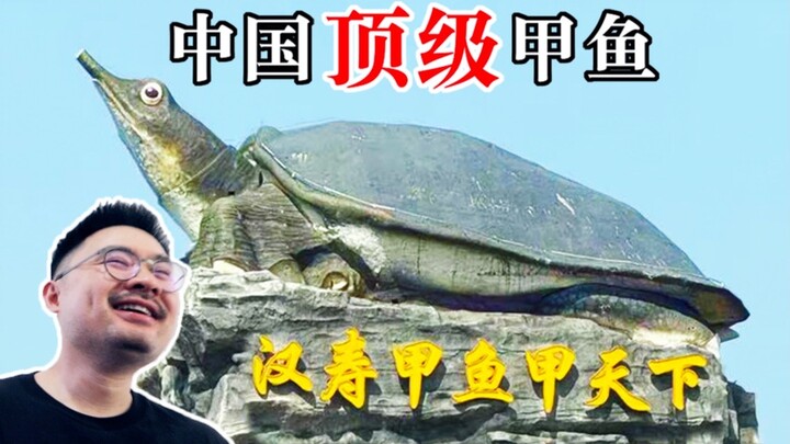 China’s Top-Grade Soft-Shell Turtle: Just How Delicious Is It?
