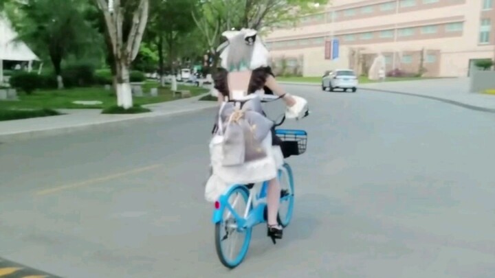 Commander, your cat rode off on a bike!