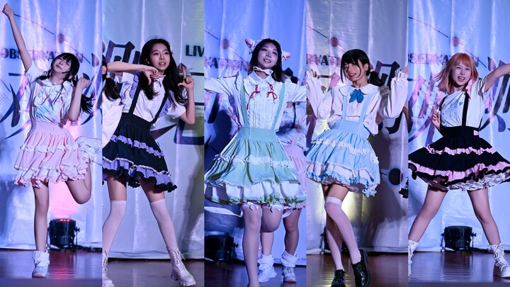 上外竟然有地偶！？iLiFE扩展包典藏包二连跳！「2025观测纪单品｜定机位」