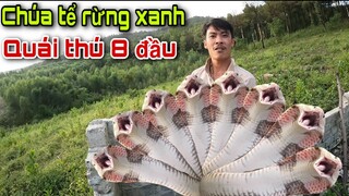 Cuộc Chạm Trán Kinh Hoàng Với Chúa tể loài Rắn | Săn Bắt Ẩm Thực Vùng Cao