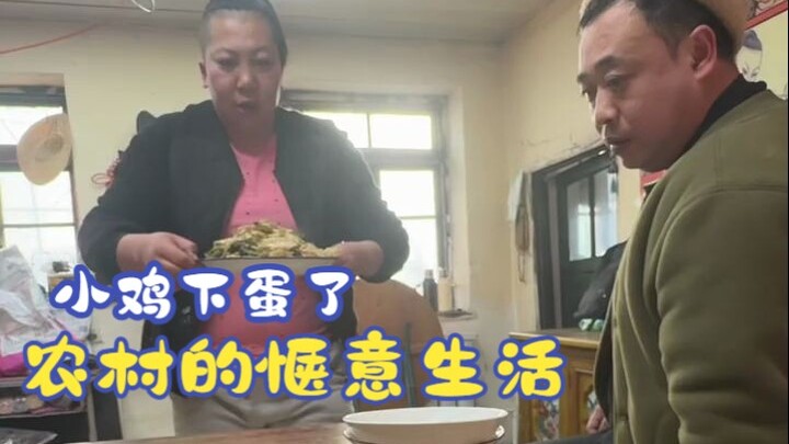 Đã sang xuân, mấy chú gà con nhà chị Vũ đã cởi quần rồi, thế là lão Khuýi mừng hết nấc