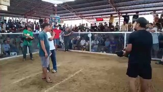 1st fight ni nege 3 cocks