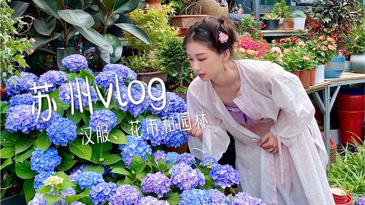 Vlog Harian | Keluar Pakai Hanfu Jelajahi Pasar Bunga dan Taman, Rasakan Keindahan Alam Pegunungan d