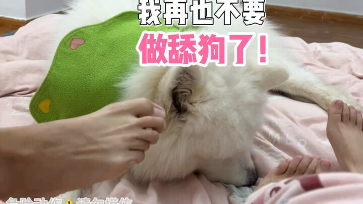 กั๋วกั๋ว: ฉันเป็นสุนัขเลียเท้าก็มีขอบเขตนะ! (แล้วตกลงใครกันแน่ที่เท้าเหม็น?! )