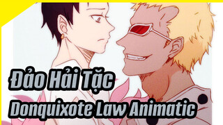 Ngày Tôi Bắn Hạ Người Yêu Của Mình | Đảo Hải Tặc  Donquixote X Law Animatic