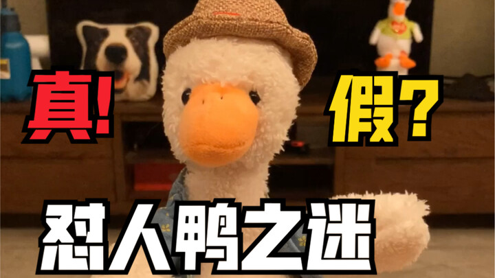 Kinh ngạc! Hóa ra con vịt chửi người đang hot nhất mạng thực ra lại không phải thật…