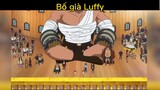 Bố già Luffy#daohaitac#anime#edit#tt#xuhuong