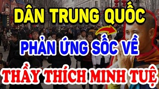Bất Ngờ Về Phản Ứng Sốc Của Dân Trung Quốc Về Thầy THÍCH MINH TUỆ ! | Triết Lý Tinh Hoa
