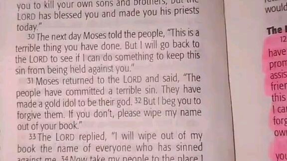 Daily Verse.        Exodus 32:30-35