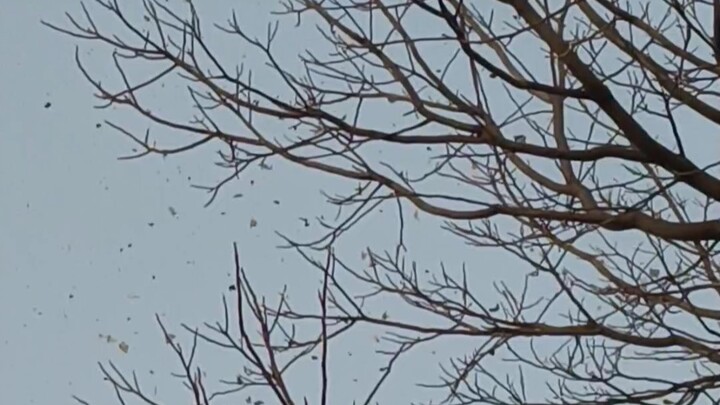 Physics teacher: Where is your book? Me: Like catkins blowing in the wind