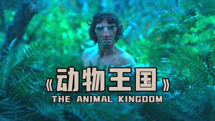 凯撒奖最佳影片等十二项提名，法国文艺版X战警，结尾真的超赞