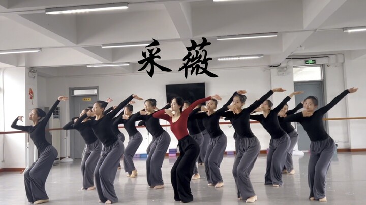 舞蹈采薇 古典舞