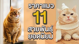 EP8 : ราคาแมว 11 สายพันธุ์ยอดนิยม!!