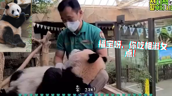 Kekhawatiran Kakek Jiang: Mengendalikan Bentuk Tubuh Dūndūn dan Fúbǎo