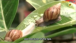 EP1 - MONSTAR (2013) K-DRAMA