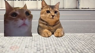 My cousin is actually...