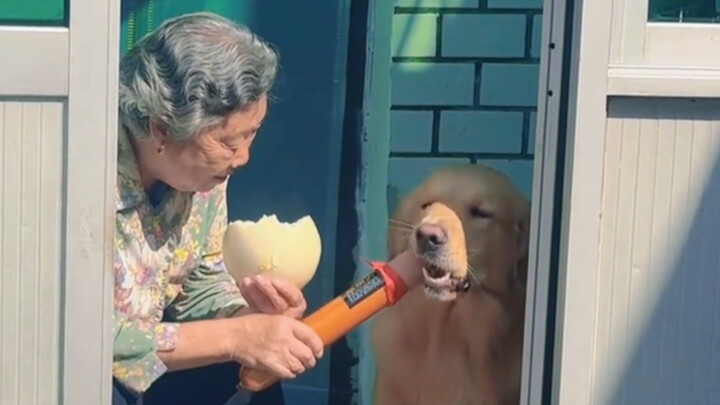 “Ada satu jenis lapar yang disebut ‘Nenek merasa kamu lapar’”