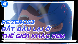 Re:Zero S2 
All Rem Scenes_4