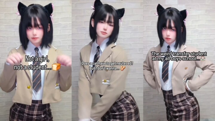 I'm femboy I'll answer all your questions