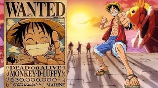 Wellerman Bounty || The Straw Hat Crew's first bounty